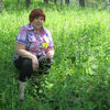 Альбина, 65, г.Емельяново Альбина, 65, г.Емельяново