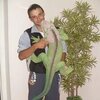 денис, 35, г.Александровское (Томская обл.) денис, 35, г.Александровское (Томская обл.)