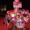 Елена, 33, г.Новосибирск Елена, 33, г.Новосибирск
